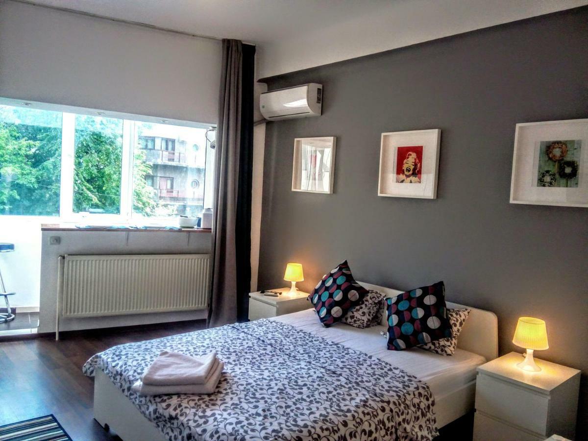 Apartment Bright Modern