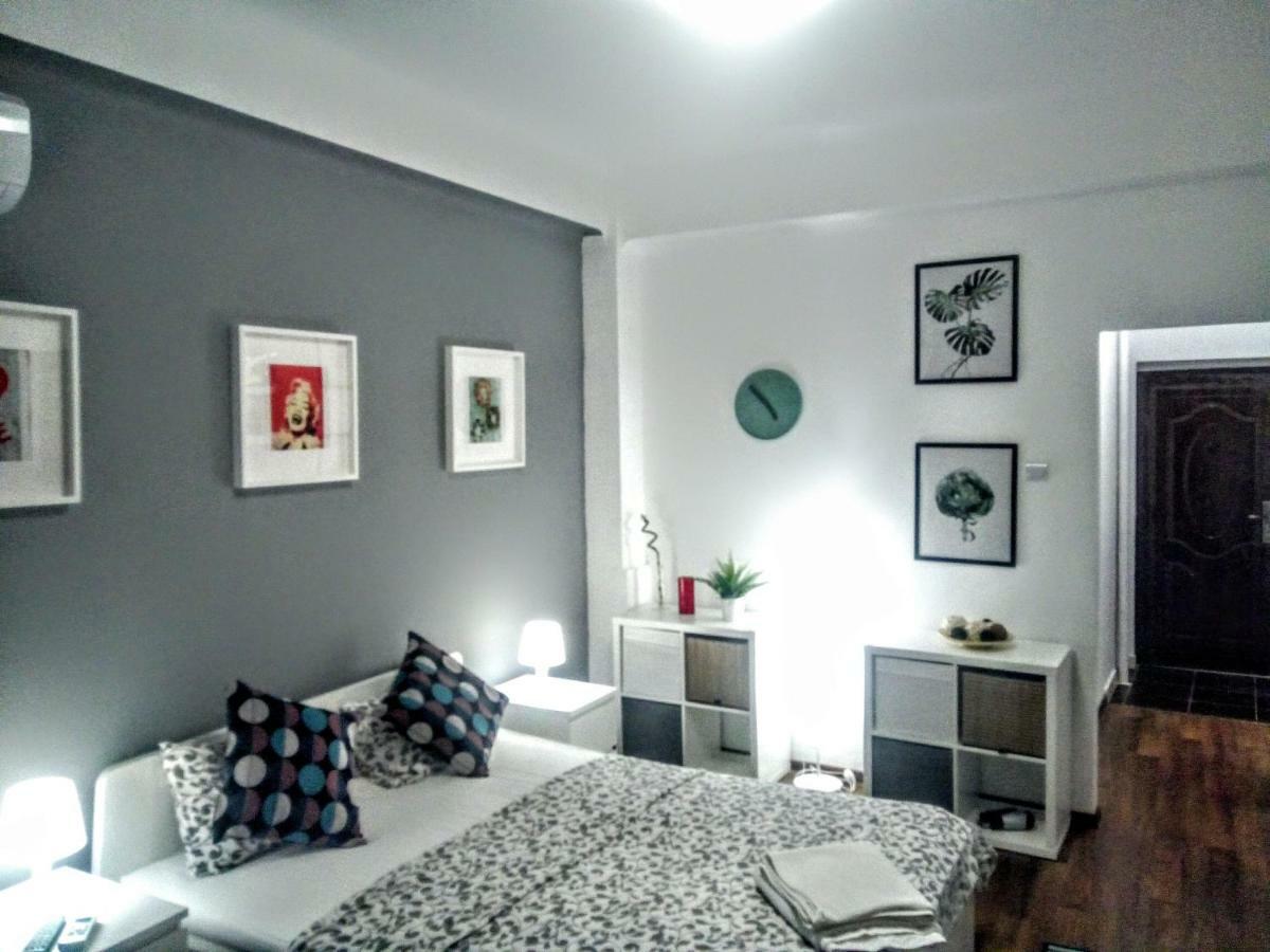 Apartment Bright Modern